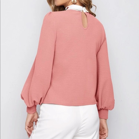 Embroidered collar lantern sleeve blouse - Picture 9 of 15